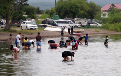 湖の浅瀬で複数の子どもと大人が膝まで水につかり手探りで水の中のシジミを探している様子の写真