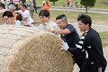 大人の身長と同じくらいの大きさの牧草ロールを男性4人で転がしている写真
