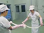 製造室内で白衣白帽の衛生着に手袋を付けてチーズを手に取り伸ばす作業をしている二人の女性の写真